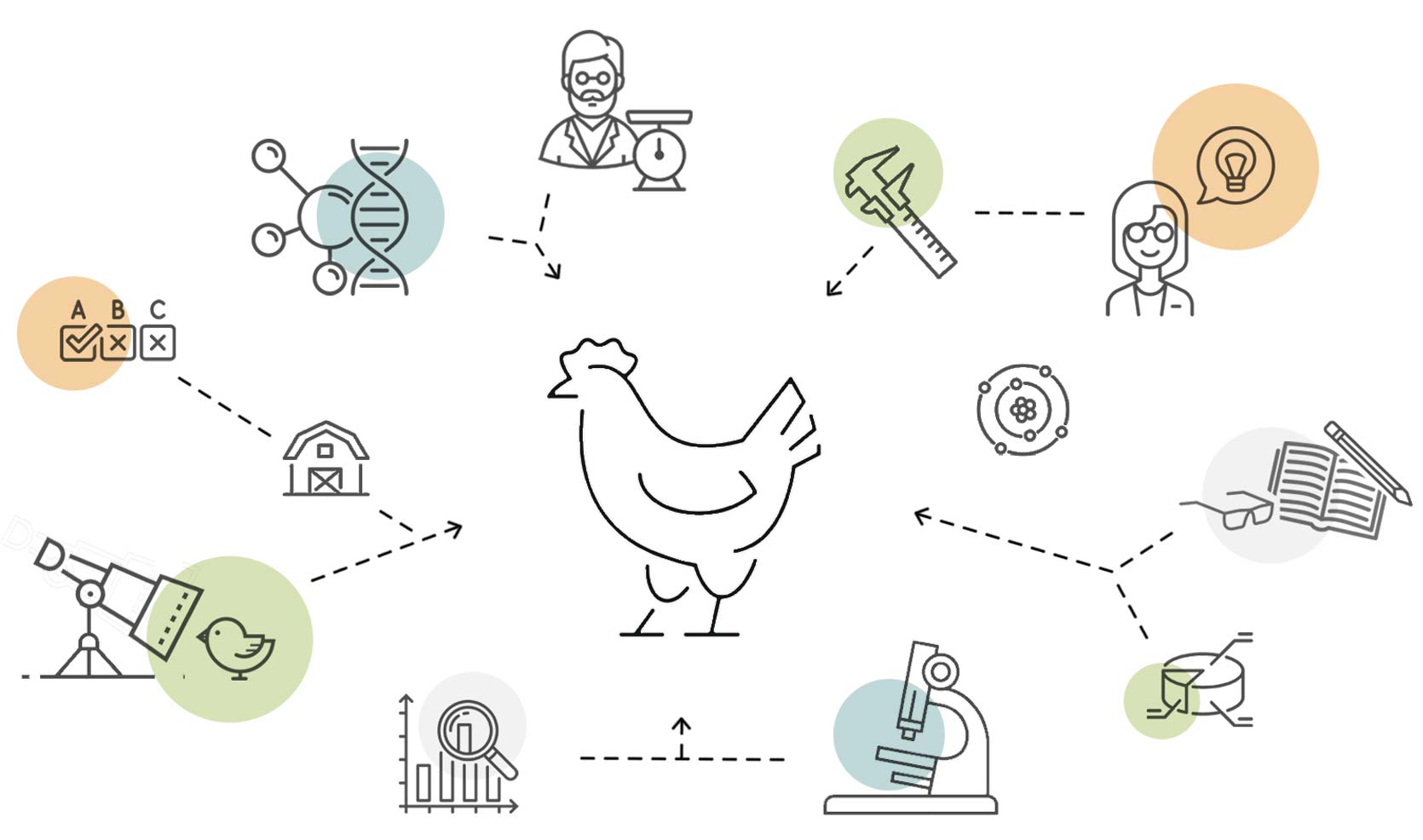 Better Chicken Project from Global Animal Partnership