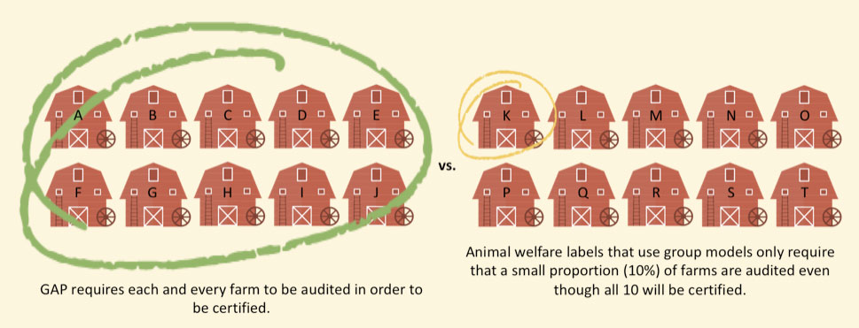 Animal Welfare Label: G.A.P. Audits Every Farm Every 15 Months