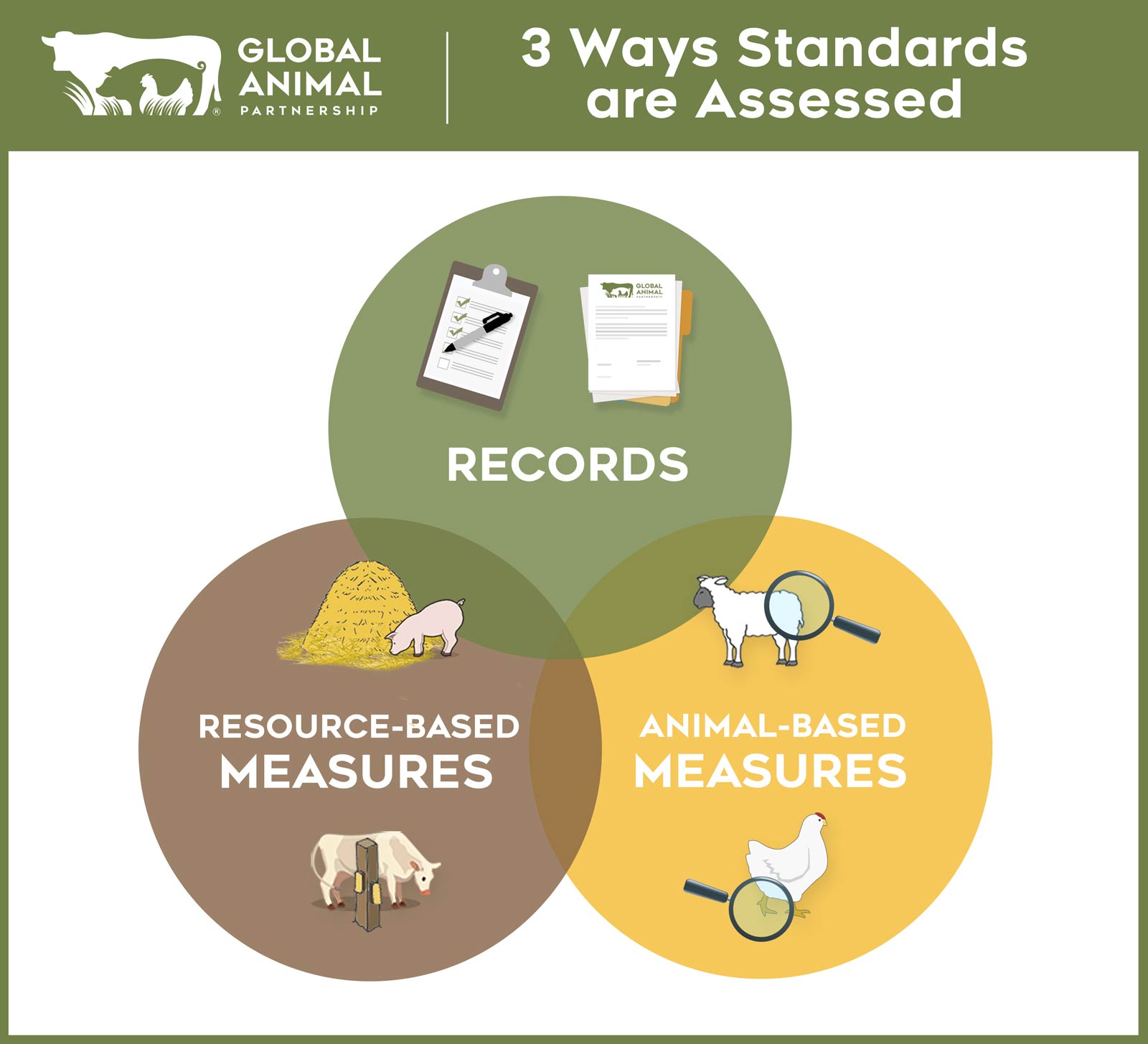 G.A.P. Farm Audit: 3 Ways Standards are Assessed
