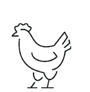 Better Chicken Project - Icon - Bottom Line